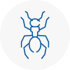 Ant Removals In West Yorkshire