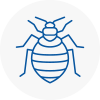 Bed Bug Extermination In West Yorkshire