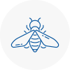 Bee Nest Removal West Yorkshire