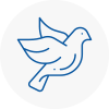 Bird Prevention West Yorkshire