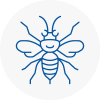 West Yorkshire Hornet Nest Removals