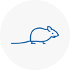 Mice Exterminators In West Yorkshire