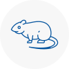 Rat Control West Yorkshire