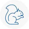 West Yorkshire Rodent Removals