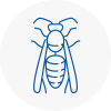 West Yorkshire Wasp Nest Removal